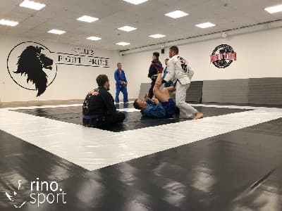 БОРЦОВСКИЙ КОВЕР 'РИНО СПОРТ'