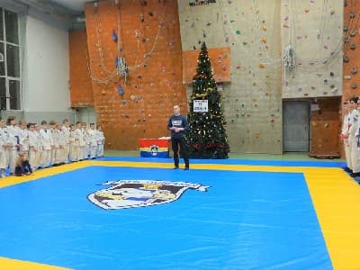 БОРЦОВСКИЙ КОВЕР 'РИНО СПОРТ'